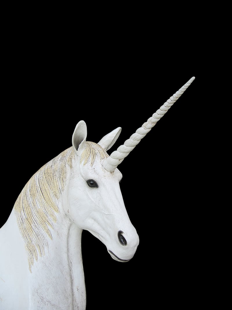 Unicorn Delight